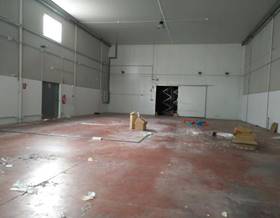 industrial warehouses for rent in sant vicent del raspeig