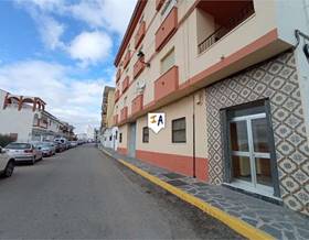 apartments for sale in viñuela