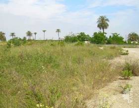 lands for sale in carcaixent