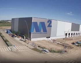 industrial warehouses for rent in cordoba