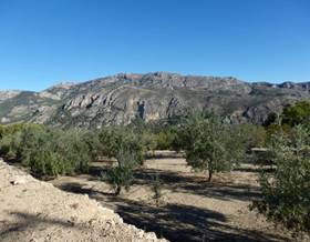 lands for sale in benifato