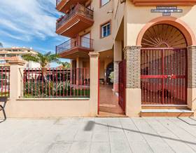 apartments for rent in mezquitilla