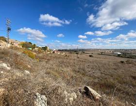 lands for sale in sant ramon