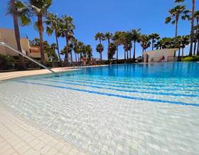 apartments for rent in estepona