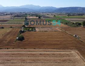 lands for sale in muro