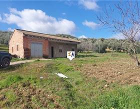 houses for sale in campotejar