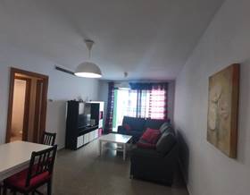 apartments for rent in puig