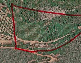 lands for sale in pego