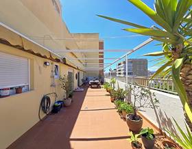 penthouses for sale in gandia