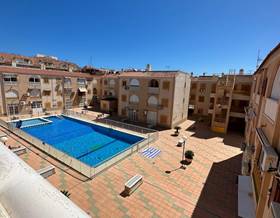 apartments for rent in torrevieja