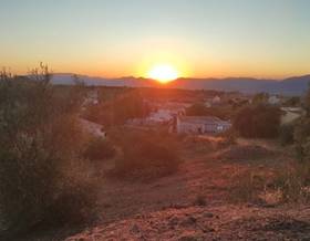 lands for sale in guevejar