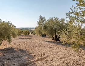 lands for sale in escuzar