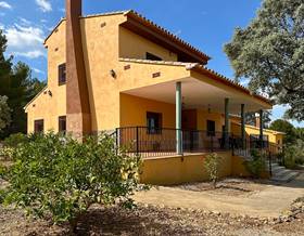 houses for sale in castellon province