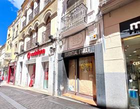 premises for sale in caceres province
