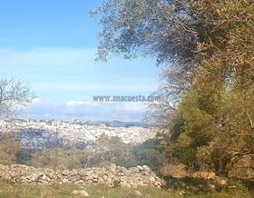 lands for sale in ronda