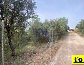 lands for sale in arcas