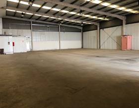 industrial warehouses for rent in leon province