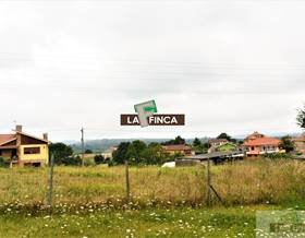 lands for sale in siero