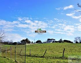 lands for sale in llanera