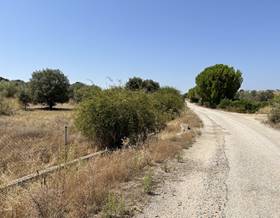 land sale navas del rey campo by 24,000 eur