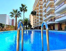 apartment rent gandia by 650 eur