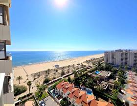 apartment rent gandia playa de gandia by 750 eur