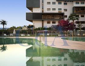 apartments for sale in dehesa de campoamor