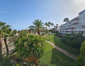 apartments for rent in torremolinos