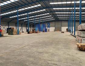 industrial warehouses for rent in torija