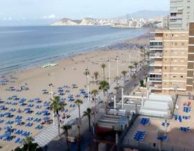 apartments for rent in benidorm