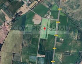 lands for sale in maria de la salut