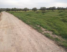 land sale puebla de sancho perez zafra by 20,000 eur