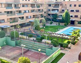 apartments for rent in guadalajara province