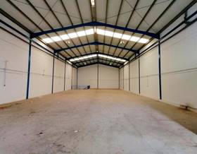 industrial warehouse rent málaga estepona by 3,500 eur