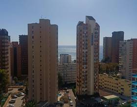 flat rent alicante benidorm by 875 eur