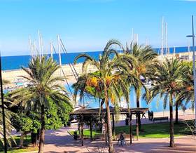 apartments for rent in gandia