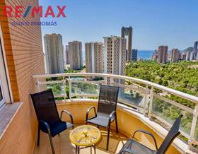 penthouses for rent in benidorm