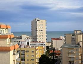 penthouse rent valencia gandia by 750 eur